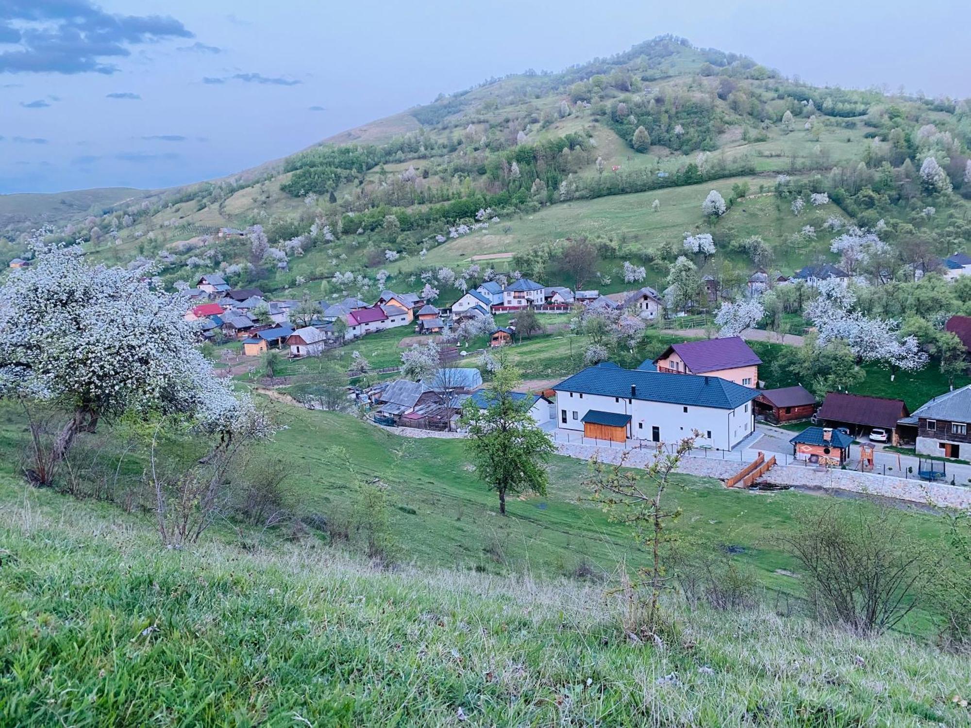 Pensiunea Suci Botiza ภายนอก รูปภาพ